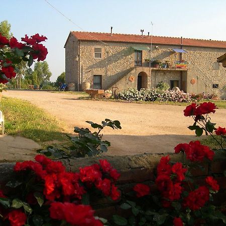 Agriturismo La Valentina Nuova Villa Talamone Eksteriør billede