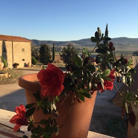 Agriturismo La Valentina Nuova Villa Talamone Eksteriør billede