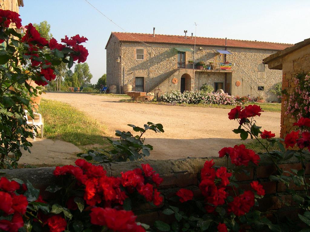 Agriturismo La Valentina Nuova Villa Talamone Eksteriør billede