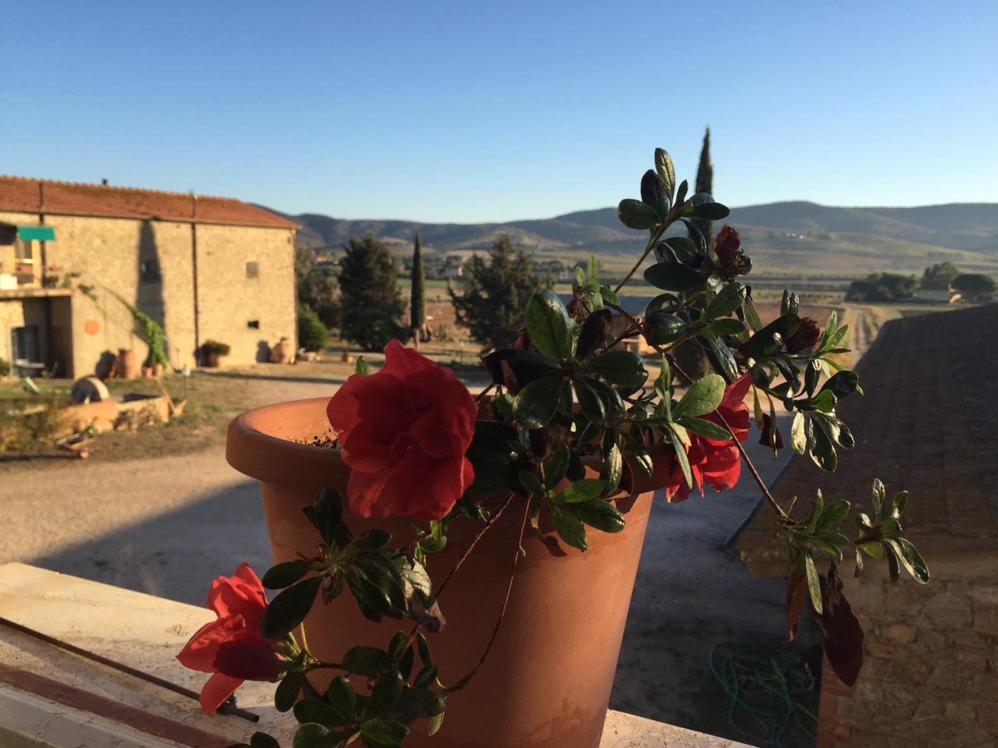 Agriturismo La Valentina Nuova Villa Talamone Eksteriør billede