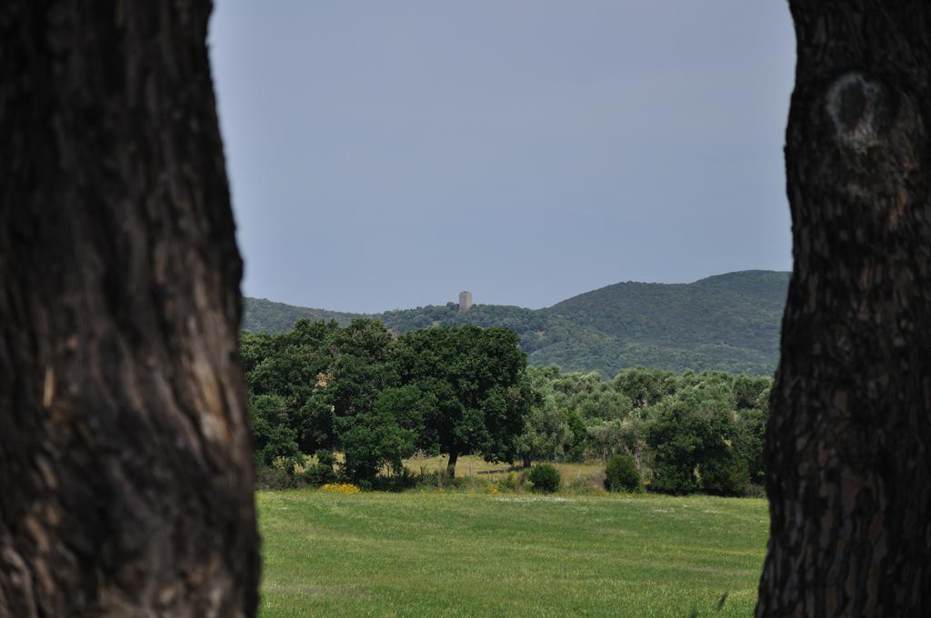 Agriturismo La Valentina Nuova Villa Talamone Eksteriør billede