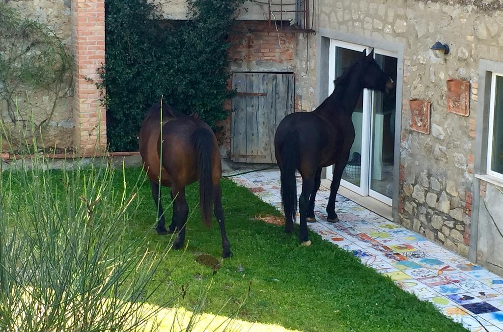 Agriturismo La Valentina Nuova Villa Talamone Eksteriør billede