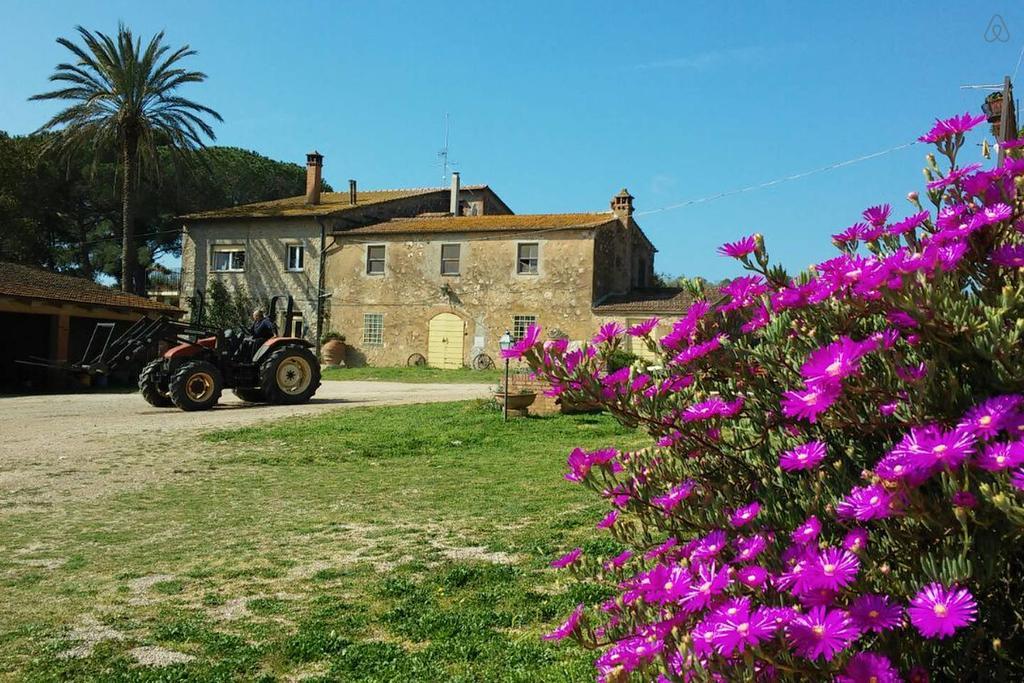 Agriturismo La Valentina Nuova Villa Talamone Eksteriør billede