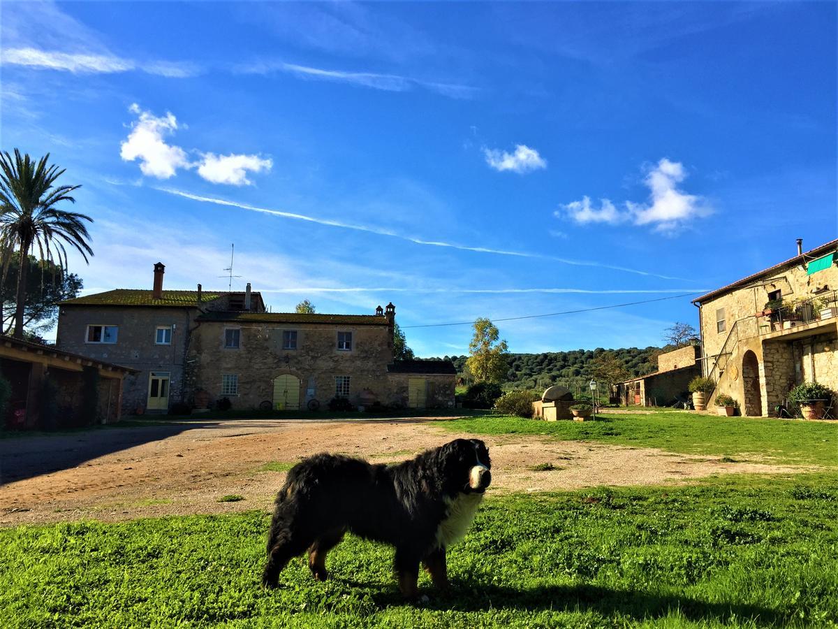 Agriturismo La Valentina Nuova Villa Talamone Eksteriør billede