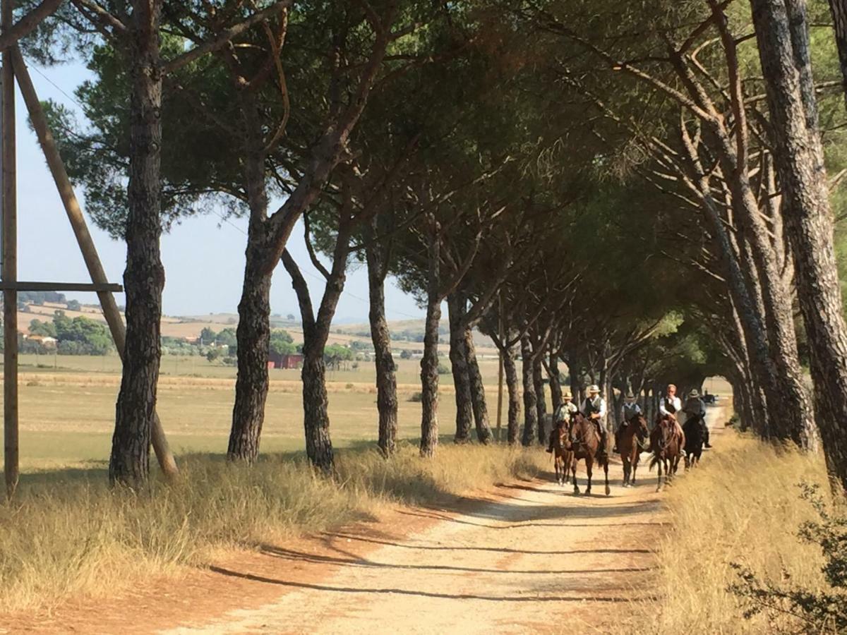 Agriturismo La Valentina Nuova Villa Talamone Eksteriør billede